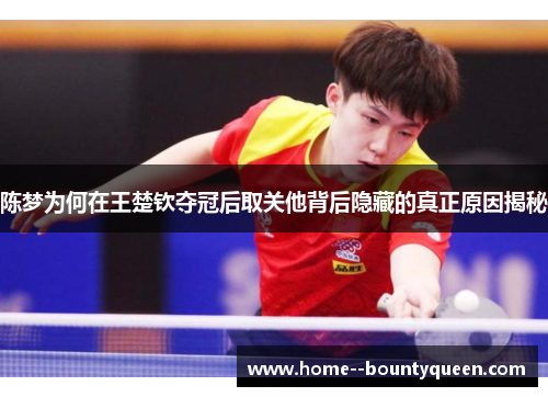 陈梦为何在王楚钦夺冠后取关他背后隐藏的真正原因揭秘