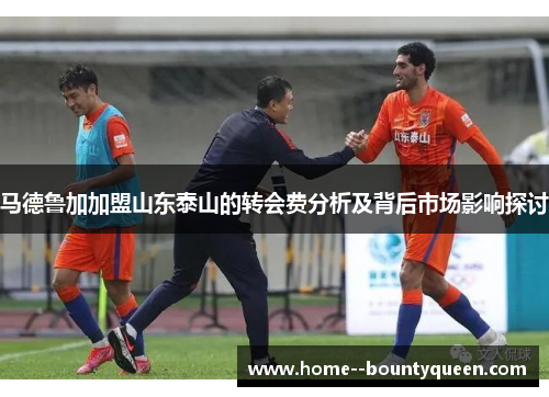 马德鲁加加盟山东泰山的转会费分析及背后市场影响探讨